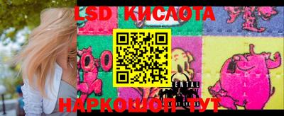 дмт Краснодар