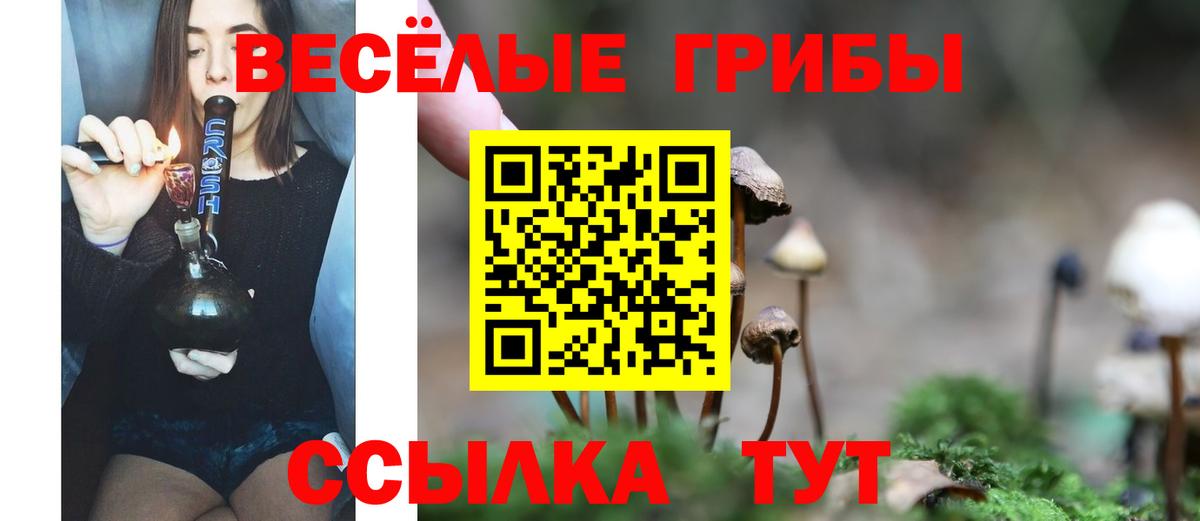 Псилоцибиновые грибы Psilocybine cubensis Йошкар-Ола